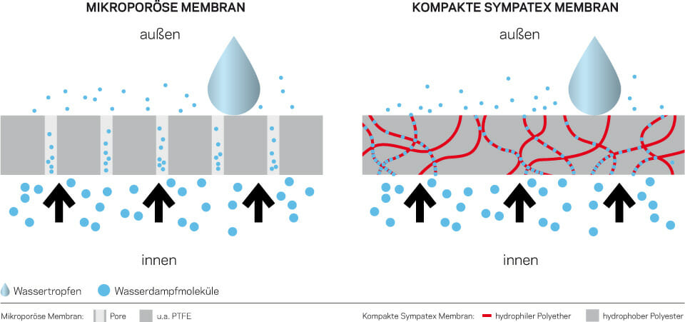 Der Wasserdampftransport im Vergleich