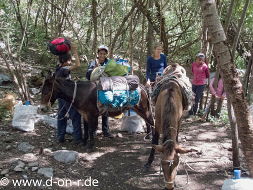 Vorzüge des eigenen Autos (Foto: Georg Pollinger)