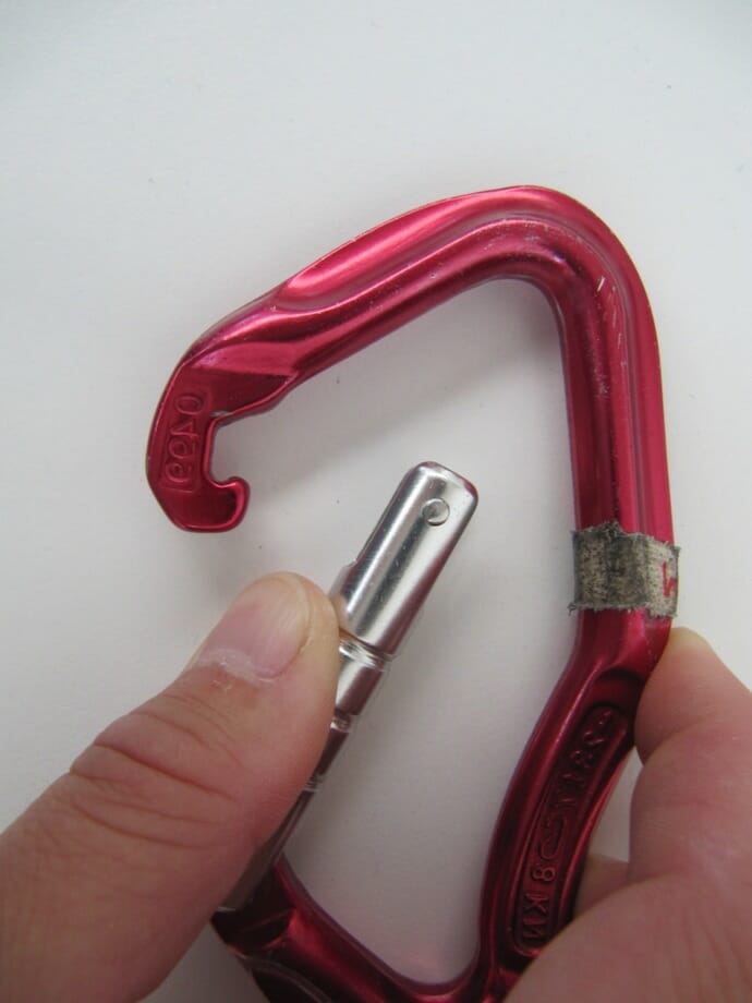 Karabiner Nasenbär