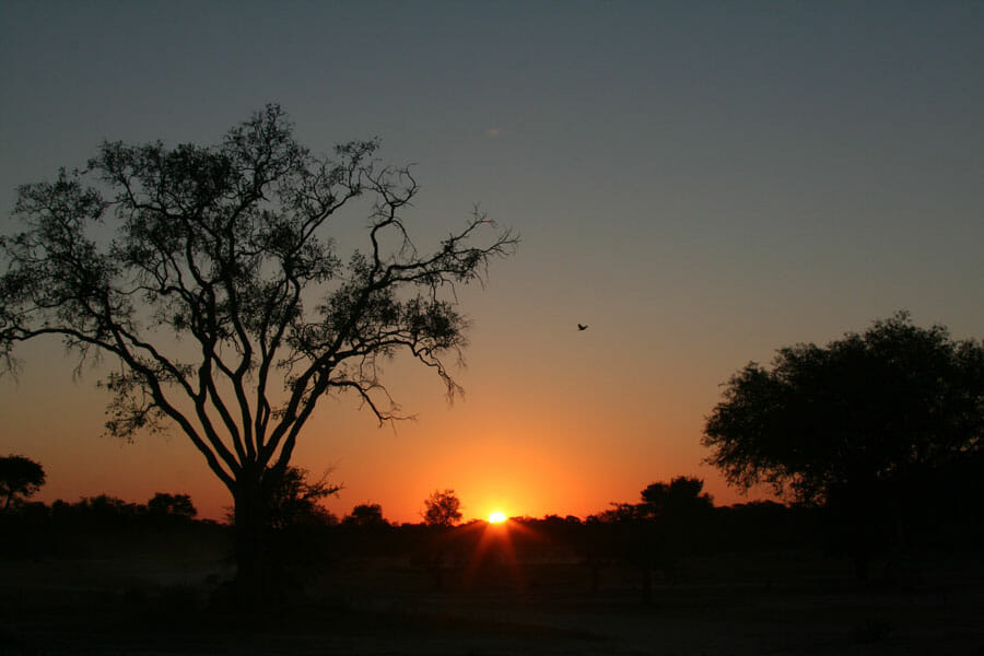 Der Sonnenuntergang ins Ungewisse