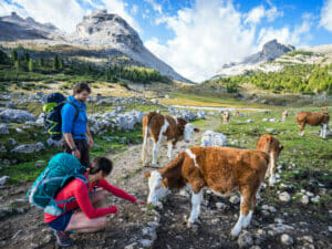 Leave no Trace - Guidelines für ein sauberes Outdoorvergnügen