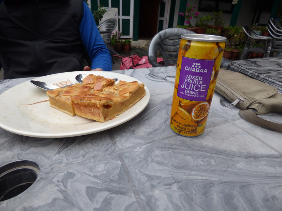 Apfelkuchen und Multisaft