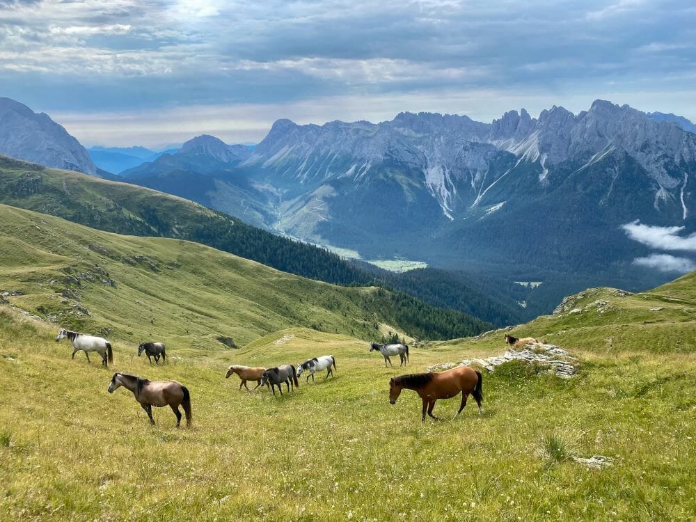 Karnischer Höhenweg