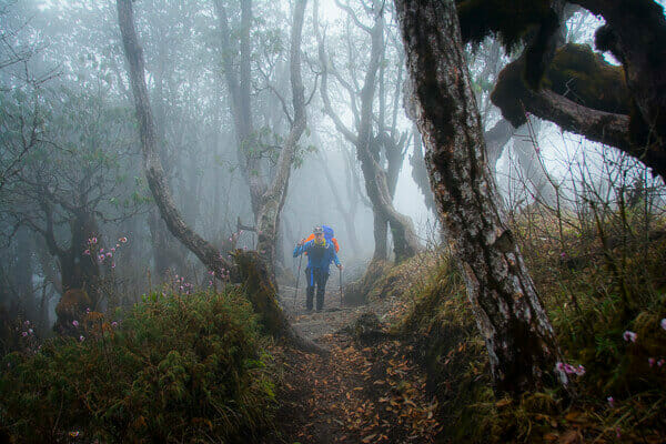 Wandern im Nebel