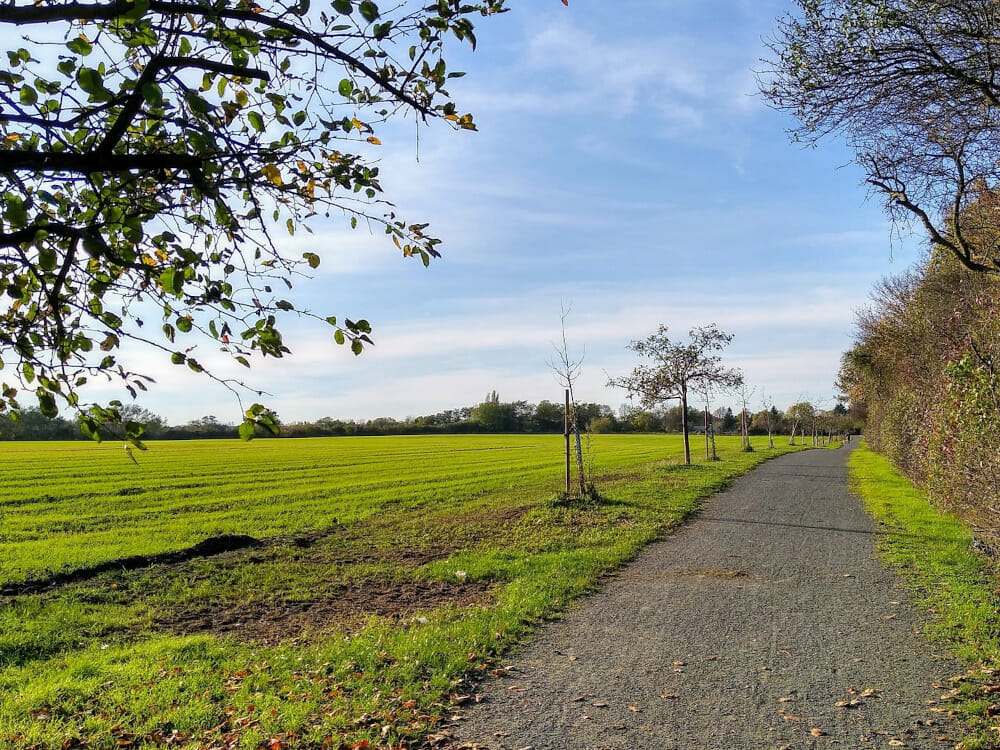 Rund um Berlin finden sich viele naturbelassene Abschnitte zum Wandern.