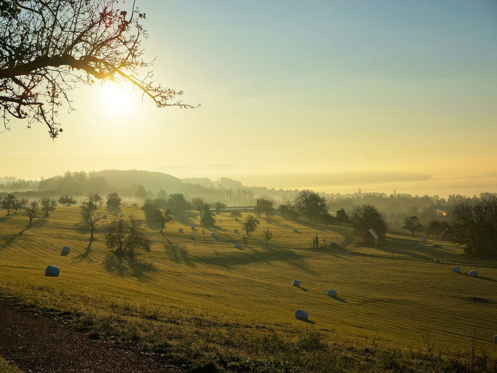 Die sanften Hügellandschaften am Bodensee sind perfekt für einen entspannten Wanderurlaub.