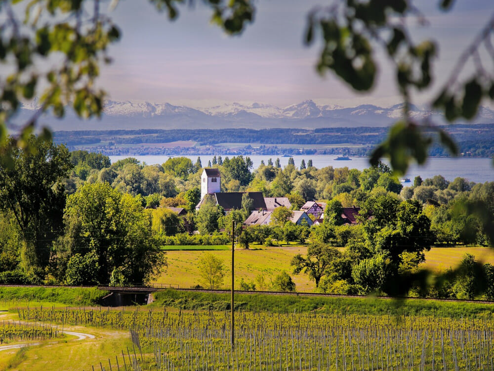 Der Bodensee bietet Bergpanorama mit Obstplantagen und kleine Ortschaften.
