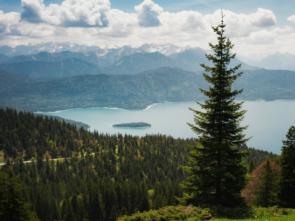 Vom Jochberg hat man einen tollen Blick auf den Walchensee.