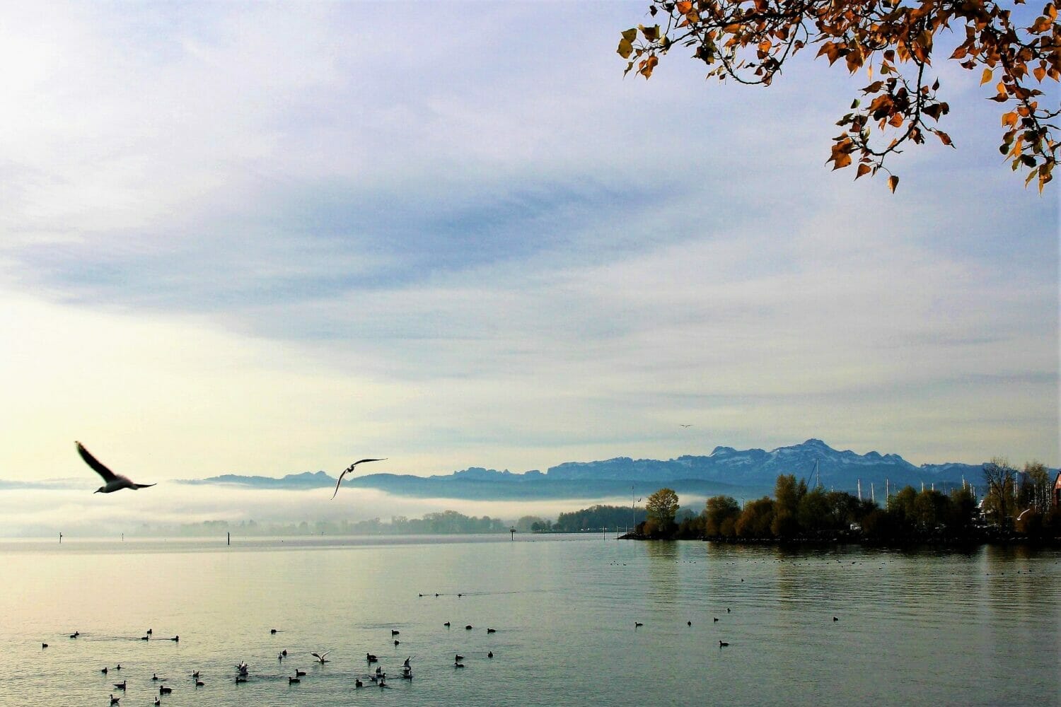 Auf dem Bodensee Kanufahren