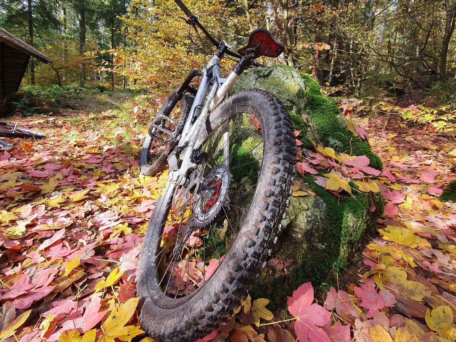 Bei Unfällen muss ein MTB-Guide schnell handeln.