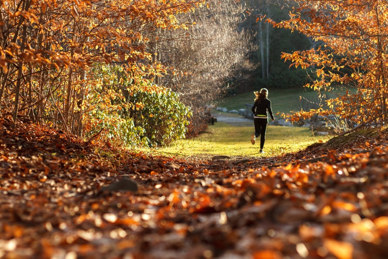 Frau beim Plogging im Wald