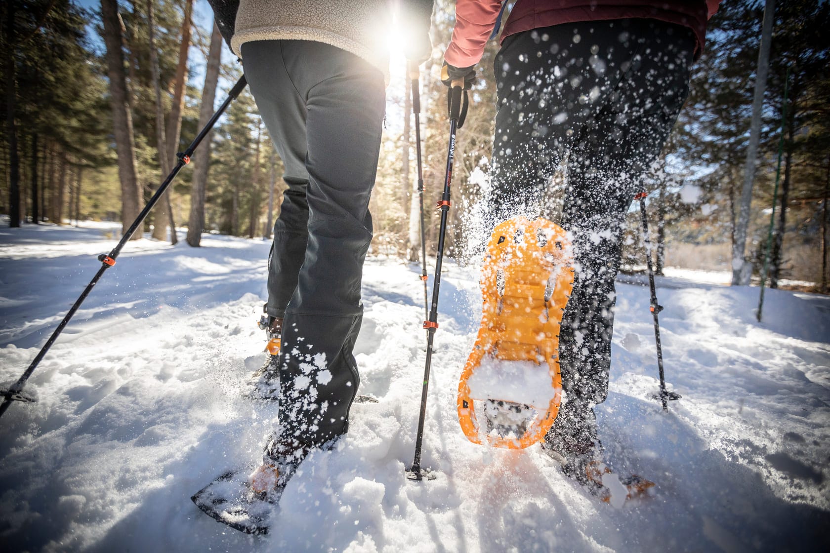 Wanderer mit Schneeschuhe von hinten