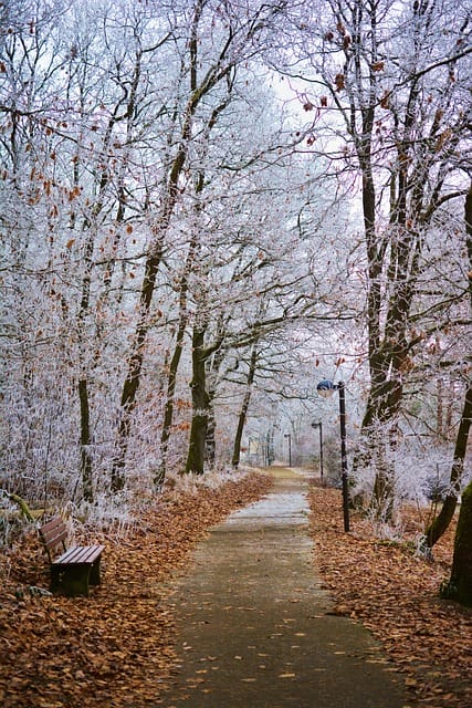 Winterlicher Weg im Park