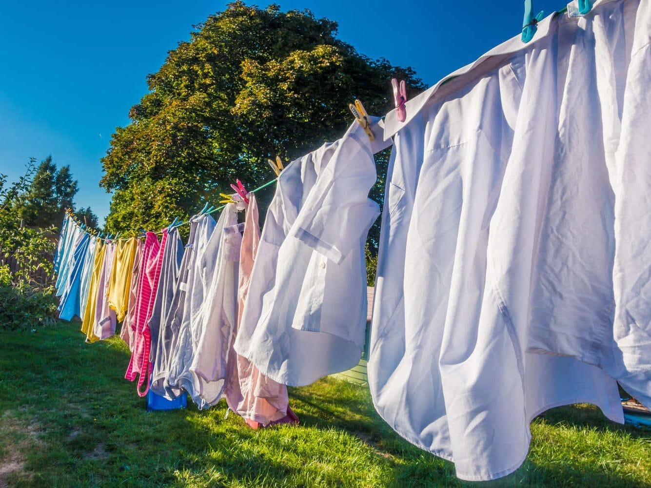 Baumwollkleidung trocknet auf der Wäscheleine