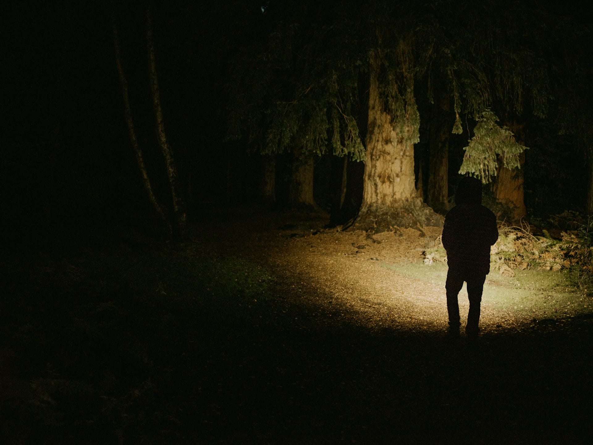 Person mit Stirnlampe im Wald