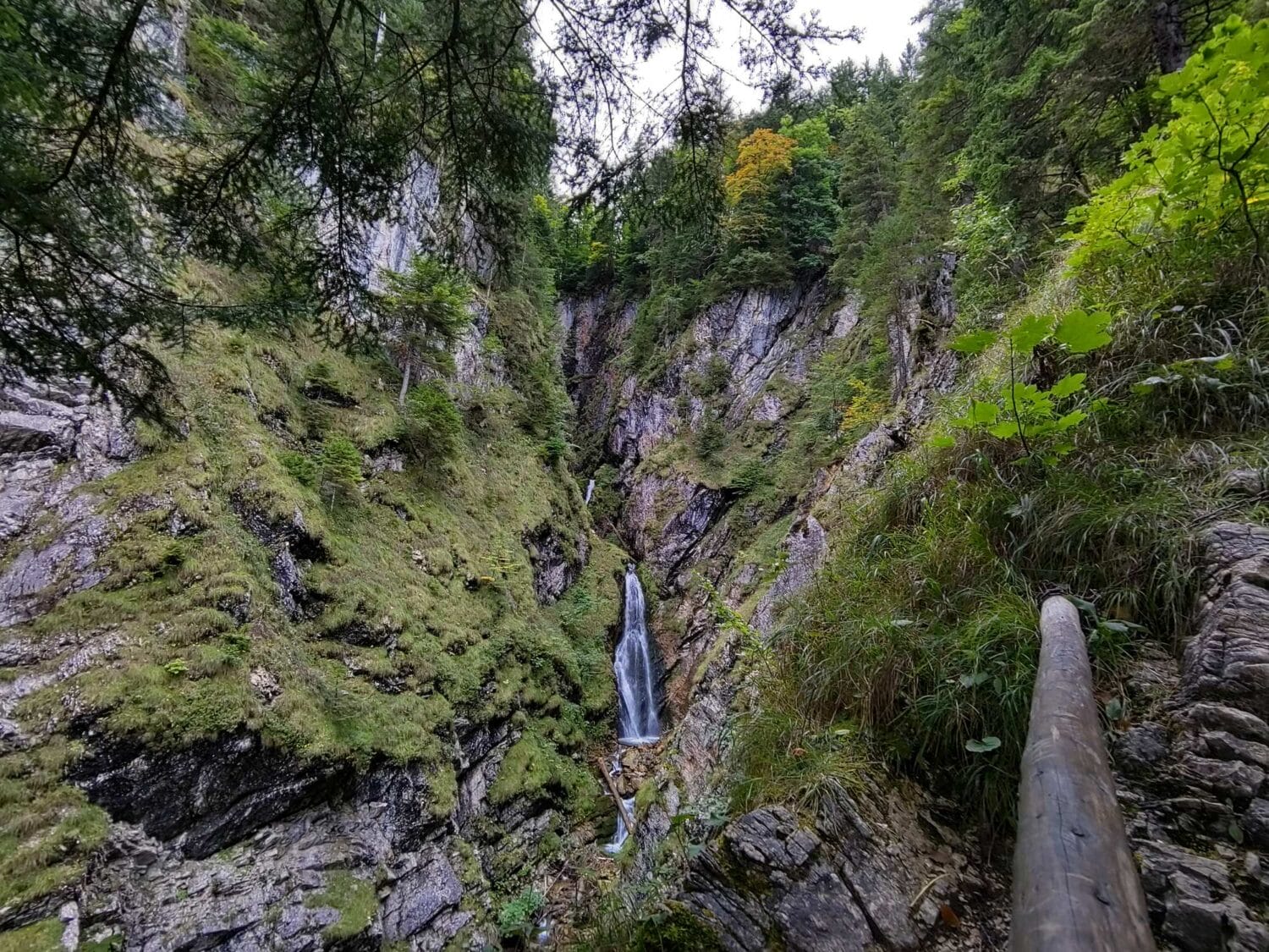 Wasserfall Reichenbachklamm