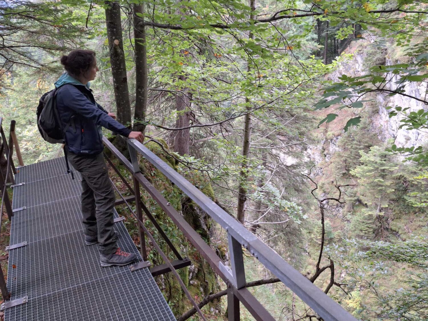 Schöne Stelle der Reichenbachklamm