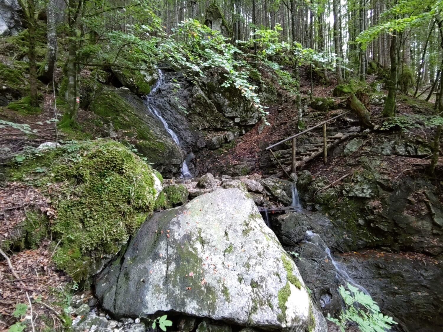 Querung eines kleinen Zulaufs