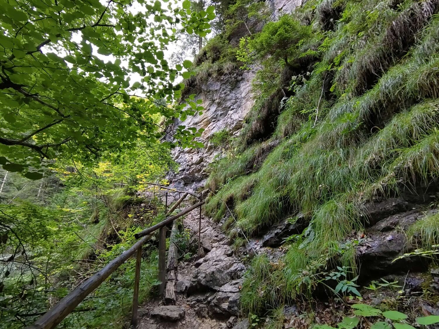Anspruchsvolle Wege Reichenbachklamm
