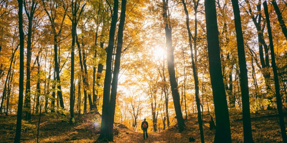 Wandern im Herbst