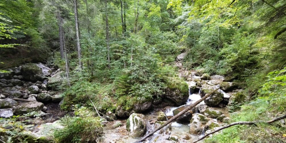 Reichenbachklamm Titel
